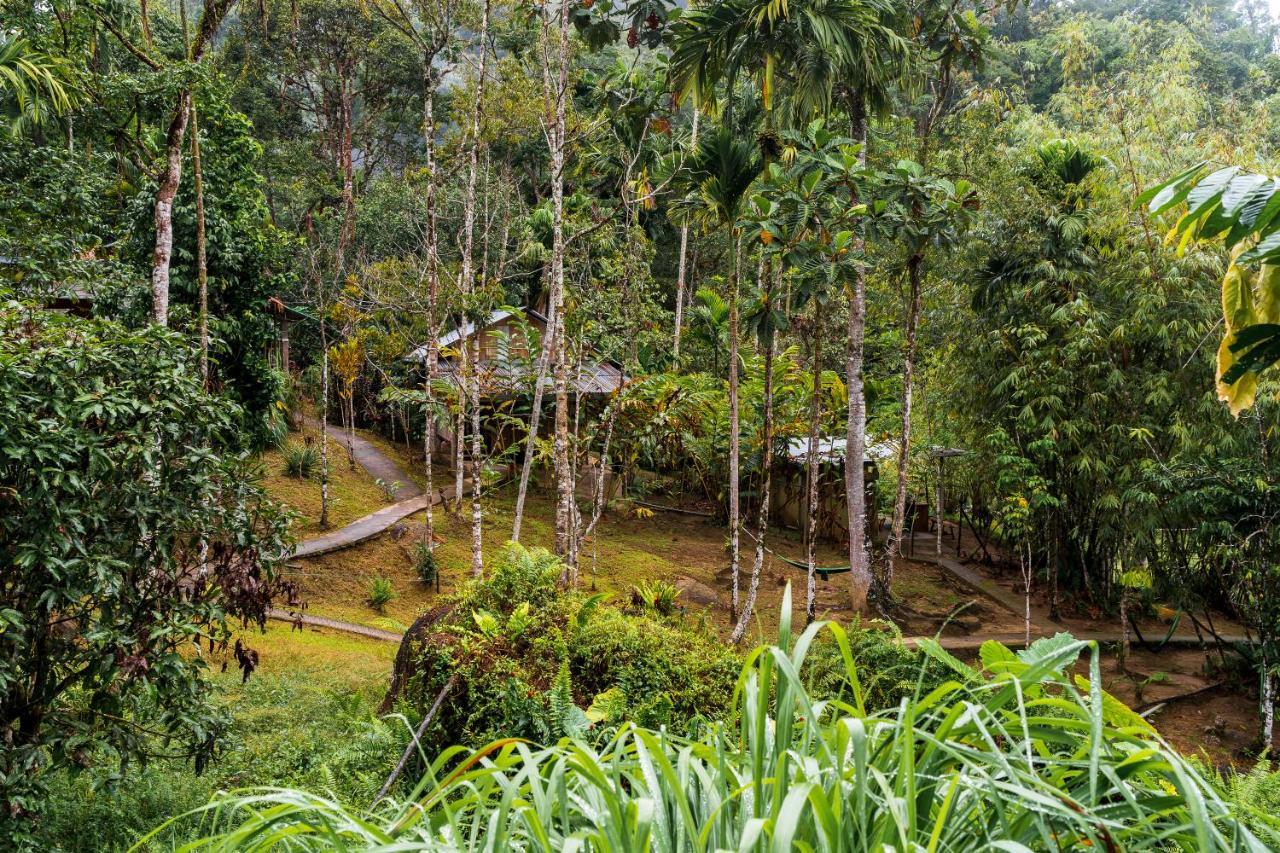 Rain Forest Inn Ringlet Exterior foto